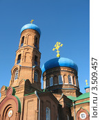 Покровский кафедральный собор. Барнаул (2010 год). Стоковое фото, фотограф Alexey D. / Фотобанк Лори