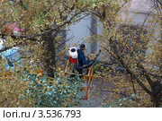 Обработка деревьев химикатами от вредителей (2010 год). Стоковое фото, фотограф Юрий Синицын / Фотобанк Лори