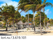 Территория отеля Sol Cayo Guillermo (2011 год). Редакционное фото, фотограф Юлия Машкова / Фотобанк Лори