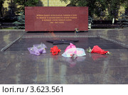 Вечный огонь на площади Революции в городе Вологде (2012 год). Редакционное фото, фотограф Николай Мухорин / Фотобанк Лори