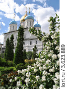 Новоспасский монастырь. Москва (2012 год). Стоковое фото, фотограф lana1501 / Фотобанк Лори