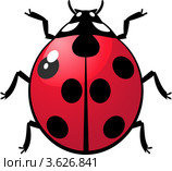Божья коровка на белом фоне. Стоковая иллюстрация, иллюстратор Марина Львова / Фотобанк Лори