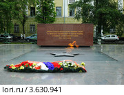 Вологда. Вечный огонь (2012 год). Редакционное фото, фотограф Ирина Балина / Фотобанк Лори