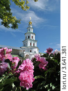 Воскресенский Ново-Иерусалимский монастырь. Город Истра (2012 год). Стоковое фото, фотограф lana1501 / Фотобанк Лори