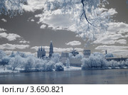 Новодевичий монастырь (2012 год). Стоковое фото, фотограф Валерий Пчелинцев / Фотобанк Лори