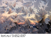 Рисунки на стекле. Стоковое фото, фотограф Евгений Мишуров / Фотобанк Лори