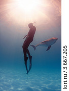 Фридайвер играет с дельфином - Tursiops truncatus (2010 год). Редакционное фото, фотограф Некрасов Андрей / Фотобанк Лори