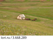 Домик на склоне Козьих гор в Оренбургской области. Стоковое фото, фотограф Алексей Сахаров / Фотобанк Лори