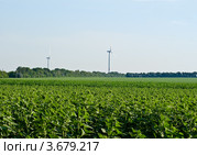 Ветряные электростанции на краю поля. Донецкая область, Украина (2012 год). Стоковое фото, фотограф Александр  Буторин / Фотобанк Лори
