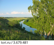 Летний пейзаж. Береза у реки (Омская обл., Чернолучье) Стоковое фото, фотограф Светлана Ильева (Иванова) / Фотобанк Лори