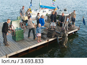 Погружение водолаза на празднике "Дни Моря" в Таллине, Эстония (2012 год). Редакционное фото, фотограф Игорь Соколов / Фотобанк Лори