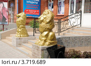Город Ишим.Золотые львы перед входом в магазин "Маркиза" (2012 год). Редакционное фото, фотограф Александр Тараканов / Фотобанк Лори