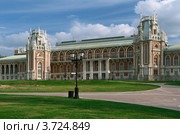Большой Царицынский дворец (2012 год). Редакционное фото, фотограф Алексей Голованов / Фотобанк Лори