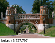 Фигурный мост, Царицыно (2012 год). Редакционное фото, фотограф Алексей Голованов / Фотобанк Лори