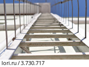 Лестница в небо. Стоковое фото, фотограф Алексей Сахаров / Фотобанк Лори