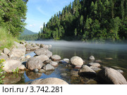 Утро на реке Бия. Стоковое фото, фотограф николай / Фотобанк Лори