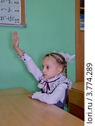 Первоклассница тянет руку, сидя в классе за партой. Стоковое фото, фотограф Илюхина Наталья / Фотобанк Лори