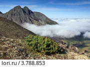 Камчатка. Горный массив Вачкажец, или вулкан Вачкажец (2012 год). Стоковое фото, фотограф А. А. Пирагис / Фотобанк Лори