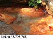 Источник минеральной воды. Стоковое фото, фотограф Rekacy / Фотобанк Лори