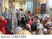 Коломна. Праздничная литургия в день знаний 1 сентября 2012 года. Редакционное фото, фотограф Дмитрий Неумоин / Фотобанк Лори