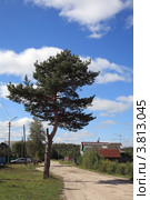 Улица Молодежная в Курлово (2012 год). Стоковое фото, фотограф Игорь Веснинов / Фотобанк Лори