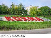 Надпись цветами на въезде в Кохму (2012 год). Стоковое фото, фотограф Александр Романов / Фотобанк Лори