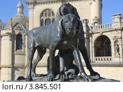 Иль-де-Франс. Замок Шантийи (Château de Chantilly). Бронзовые изваяния охотничьих собак скульптора Огюста Каина на террасе замка (2012 год). Редакционное фото, фотограф Татьяна Лата / Фотобанк Лори