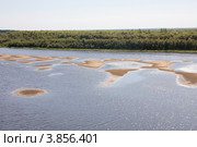 Обсохший перекат, река Вычегда. Стоковое фото, фотограф Наталия Шевченко / Фотобанк Лори