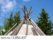 Фрагмент берестяного чума - переносного жилища народов севера. Стоковое фото, фотограф Константин Безденежных / Фотобанк Лори
