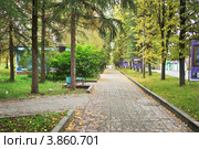 Дорожка в сквере на улице Ленина в Вытегре (2012 год). Редакционное фото, фотограф Александр Романов / Фотобанк Лори