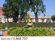 Петергоф. Сад дворца Монплезир в Нижнем парке. Фонтан-колокол ("клоши") с фигурой "Фавна с козленком" (2012 год). Редакционное фото, фотограф Владимир Макеев / Фотобанк Лори