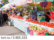 День помидора в Минусинске. Выставка и продажа помидоров (2012 год). Редакционное фото, фотограф Шичкина Антонина / Фотобанк Лори