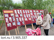 День помидора в Минусинске. Помидорный вернисаж (2012 год). Редакционное фото, фотограф Шичкина Антонина / Фотобанк Лори