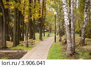 Аллея детского парка осенью, Новомосковск (2012 год). Стоковое фото, фотограф Вячеслав Потапов / Фотобанк Лори
