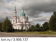 Кингисепп. Екатерининский собор. (2012 год). Редакционное фото, фотограф Литвяк Игорь / Фотобанк Лори