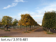 Санкт-Петербург, Петергоф осенью (2012 год). Редакционное фото, фотограф Дмитрий Неумоин / Фотобанк Лори