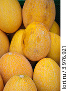 Дыни (Cucumis melo) Стоковое фото, фотограф Алёшина Оксана / Фотобанк Лори