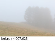 Туманное осеннее озеро. Стоковое фото, фотограф Виталий Веревкин / Фотобанк Лори