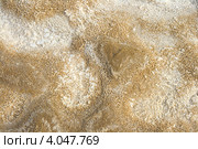 Соленая земля, берег озера Баскунчак летом (2011 год). Редакционное фото, фотограф Надежда Болотина / Фотобанк Лори