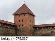 Башня и стена. Лидский замок. Беларусь (2012 год). Стоковое фото, фотограф Михаил Широков / Фотобанк Лори