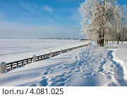 Набережная Волги. Стоковое фото, фотограф ElenArt / Фотобанк Лори
