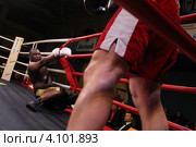 Бокс в Подольске, Денис Бахтов Россия и экс-чемпион Мира, Дэнни Уильямс  Великобритания (2012 год). Редакционное фото, фотограф Дмитрий Неумоин / Фотобанк Лори