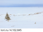 Зимнее заснеженное побережье. Стоковое фото, фотограф Виталий Веревкин / Фотобанк Лори