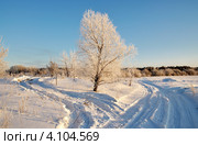На перепутье двух дорог. Стоковое фото, фотограф Александр Тараканов / Фотобанк Лори