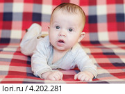 Задумчивый четырехмесячный малыш, лежащий на животе на клетчатом пледе. Стоковое фото, фотограф ivolodina / Фотобанк Лори