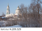 Покровская церковь, г. Елабуга. Зима (2012 год). Стоковое фото, фотограф Андрей Ижаковский / Фотобанк Лори