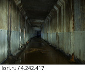 Река Чернушка в подземном коллекторе (2013 год). Стоковое фото, фотограф Александра Васильева / Фотобанк Лори