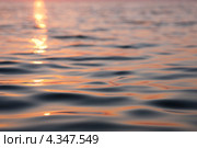 Поверхность воды. Штиль. Онежское озеро. Стоковое фото, фотограф Охотникова Екатерина *Фототуристы* / Фотобанк Лори