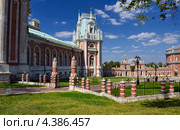 Фрагмент Большого Царицынского дворца (2012 год). Редакционное фото, фотограф Алексей Голованов / Фотобанк Лори