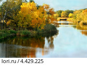 Осень, желтые листья, река. Стоковое фото, фотограф Несинов Олег / Фотобанк Лори